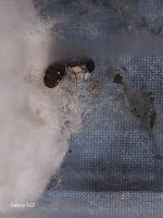 20250706_182554.jpg