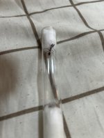 IMG_3433.jpeg