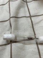 IMG_3430.jpeg