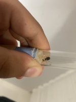 IMG_0488.jpeg