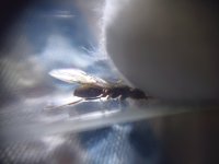 IMG_20250706_220346.jpg