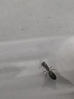IMG_20250706_225201.jpg