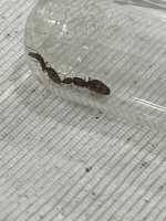 IMG_2339.jpeg