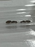 IMG_2340.jpeg