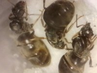 20250707-003649-629.jpg 20250707-003649-629.jpg