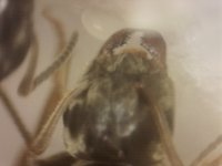 20250707-005809-279.jpg