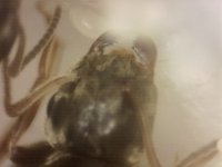 20250707-005838-391.jpg
