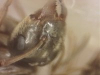 20250707-005944-744.jpg