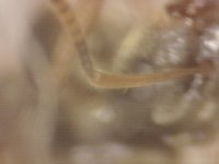 20250707-005959-548.jpg
