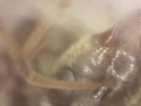 20250707-010054-682.jpg