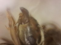 20250707-010126-841.jpg