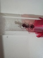 IMG_20250707_010143.jpg