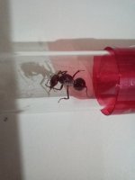 IMG_20250707_010137.jpg