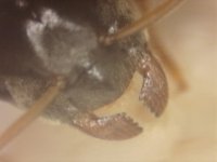 20250707-012355-209.jpg