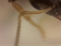 20250707-012402-478.jpg
