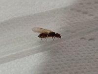 IMG_20250707_014027.jpg