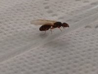 IMG_20250707_014016.jpg