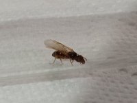 IMG_20250707_014005.jpg