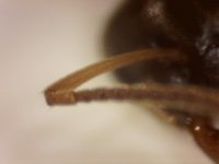 20250707-112226-401.jpg