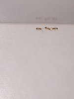 IMG_20250707_140146_190.jpg