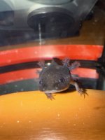 IMG_6278.jpeg