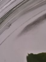 IMG_20250707_151454.jpg
