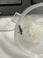 IMG_6040.jpeg IMG_6040.jpeg