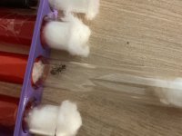 IMG_0056.jpeg