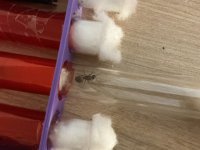IMG_0055.jpeg