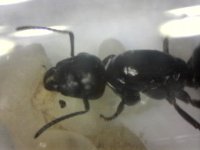 20250707-181339-302.jpg