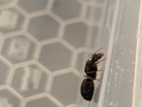 IMG_0495.jpeg
