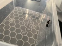 IMG_0493.jpeg