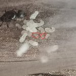IMG_20250707_192332.jpg
