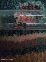 IMG_20250707_201141.jpg