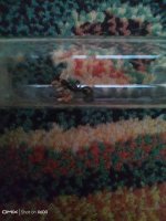 IMG_20250707_201143.jpg