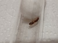 IMG_20250707_202634.jpg