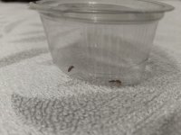 IMG_20250707_211017.jpg