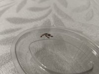 IMG_20250707_211136.jpg