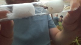 20250707_215527.jpg