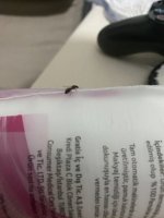 IMG_5115.jpeg