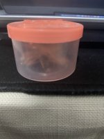 IMG_5116.jpeg