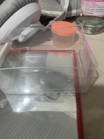 IMG_5118.jpeg