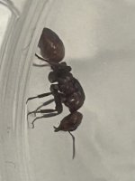 IMG_6040.jpeg