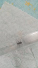 IMG-20250708-WA0008.jpeg
