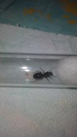 IMG-20250708-WA0013.jpeg