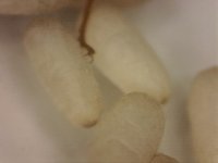 20250708-202038-298.jpg