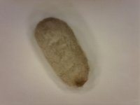 20250708-211740-830.jpg