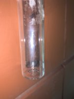 IMG_3781.jpeg