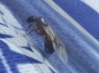 IMG_20250708_220507.jpg