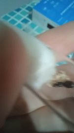 20250708_222525.jpg